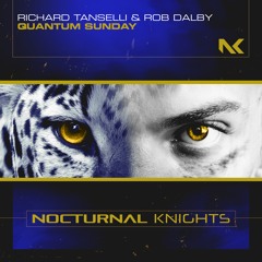 Richard Tanselli & Rob Dalby - Quantum Sunday TEASER