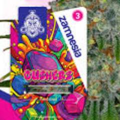 Fruit snack (prod gfelds)