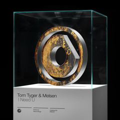Tom Tyger & Melsen - I Need U