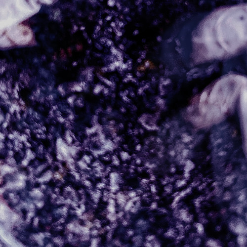 NICOTINE