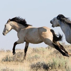 its always worth talkin about