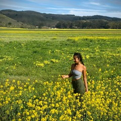 Spring Flowers