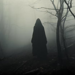 Fragmented Echoes (Bad Illusions Remix)