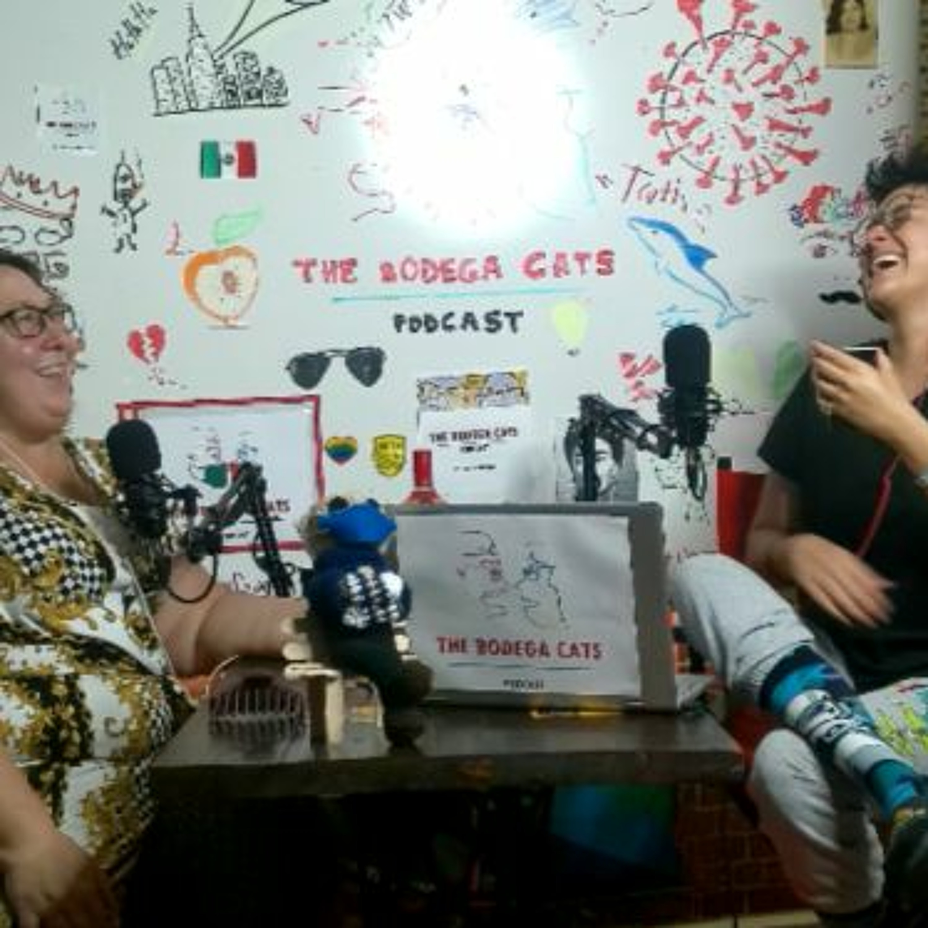 The Bodega Cats Podcast