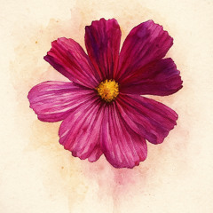 lil bih come with me (prod. 9cyon)