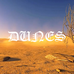 DUNES FT I.A.C.