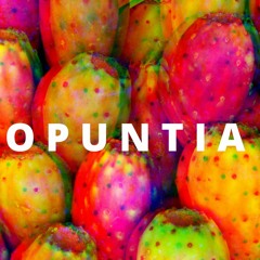 Hilarity - Opuntia (FREE DL)