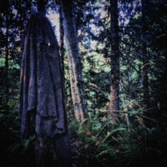 HOLLOWS TREE *OFFICIAL AUDIO*