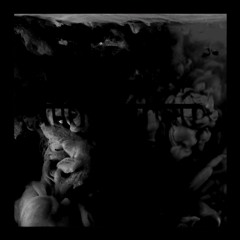 Appasionata Freestyle (HxNXn & IRHUM)