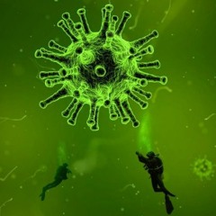 la mujer del flujoNovedades: Global Beats