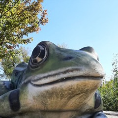 You and Whose Army? (Radiohead) (w/ Otto Rollo)