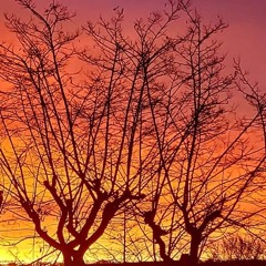 Here Tonight (feat. Foolproof)