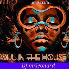 Soul In The HOWZE II (Aud)