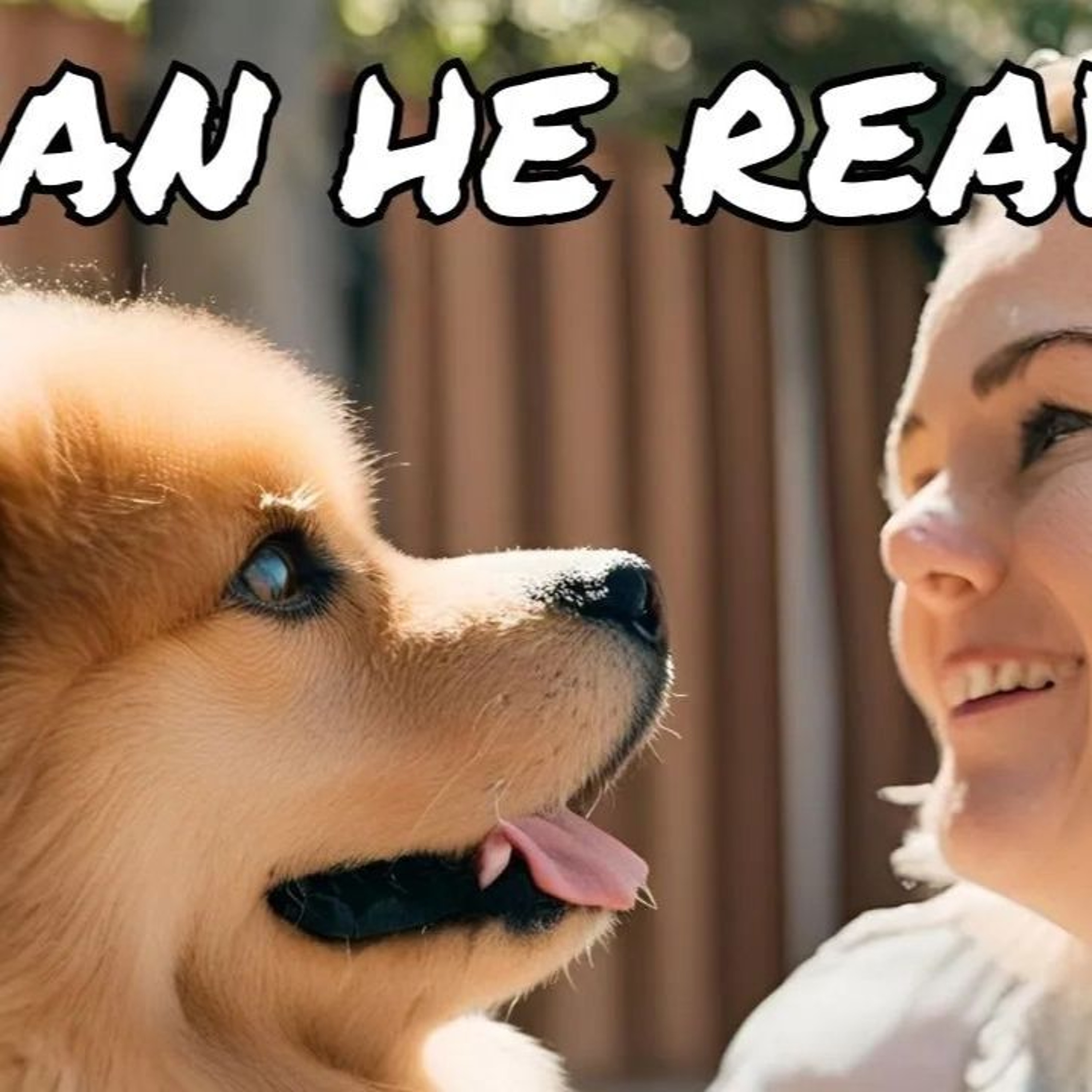 The Pet Show - USA & Canada
