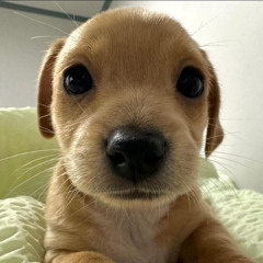 I will be leaving soon