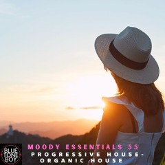 Moody Essentials 55 ~ #ProgressiveHouse #OrganicHouse Mix