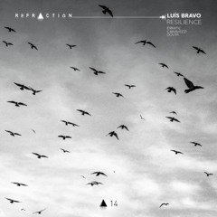 PREMIERE:  Luís Bravo - Mindscape (Original Mix) [REFRACTION]