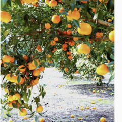 Feeling Beachy (Kodak Black remix)