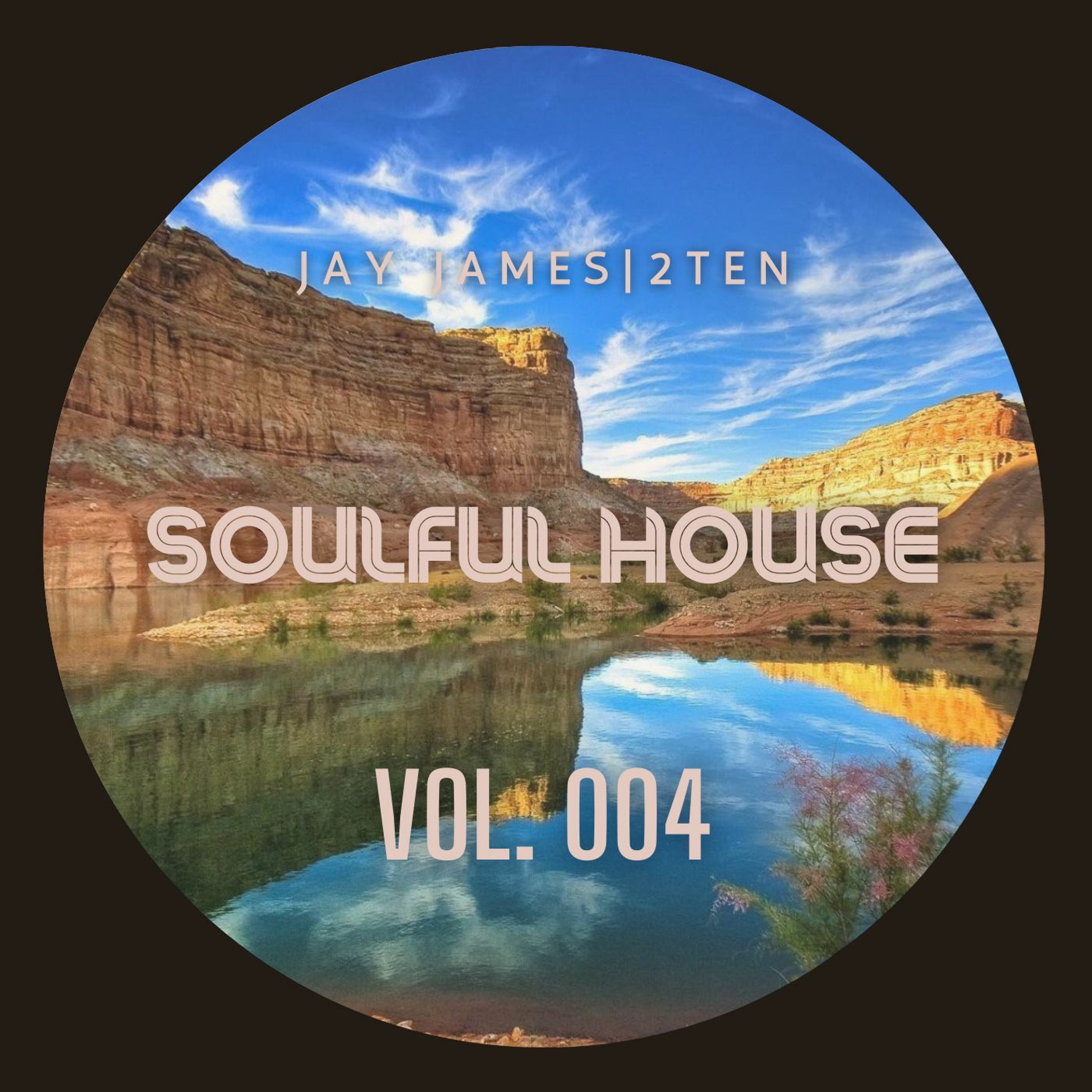 SOULFUL HOUSE 2021 (Last set of 2021 on TWITCH) episode artwork