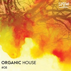 Organic House Vol.8 - Zizzi Selection
