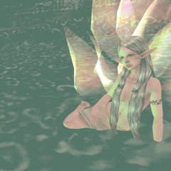 Music for Airports - A Forest Listening Session || hybrid set, June 2025