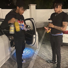 s i n c e r o + g + fngaucho