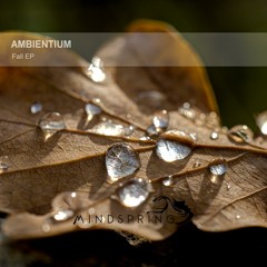 Ambient, atmospheric only