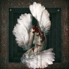 Zol X Mehrnosh Mohammadi