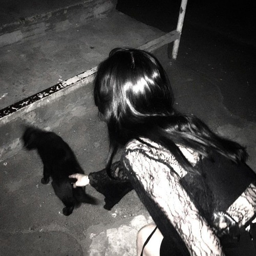 rootofallevil.rmx