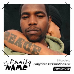 Family 049 Silicodisco - Labyrinth Of Emotions EP