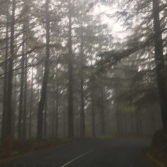 longshore drift (second draft)