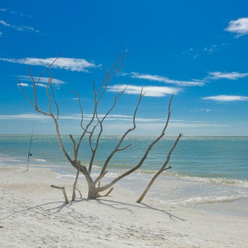 Eliza - Rain is in the forecast