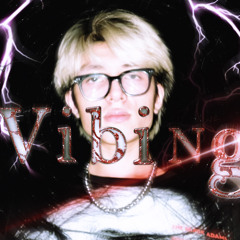 VIBING - LIL MIKEY