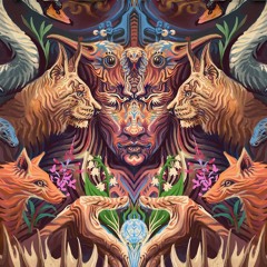 Live @ Kosmos Festival 09-07-22