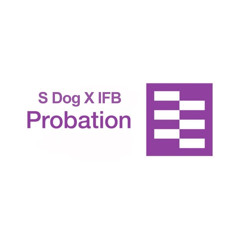 S dog - Probation 16 bar comp