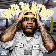 Paper Lovee - What's the matter (Official Audio)