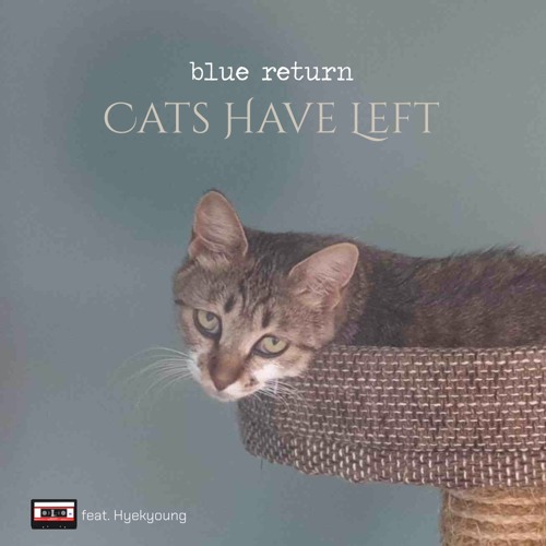 Cats Have Left (feat. Hyekyoung)