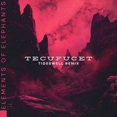 Elements Of Elephants - Tecufucet (Tideswell Remix)