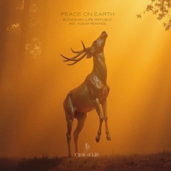DHB Premiere: Bodaishin, Lupe Republic - Peace On Earth (TEOM REMIX)