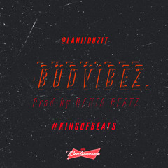 Budvibez