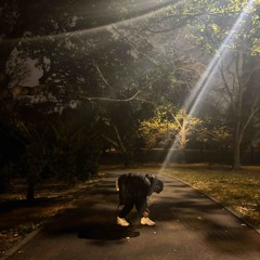 Money Totin (prod.2blu)