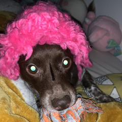 D&B midnight flow at London