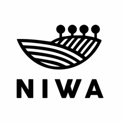 Meszkov@NiwaOpening 3.6.2021