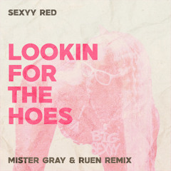 Sexyy Red - Lookin For The Hoes (It Ain't My Fault) (Mister Gray & Ruen Remix)
