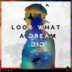 Avicii - Look What A Dream Did
