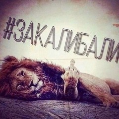 Валентин дядька- подментованный кот