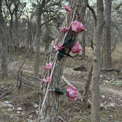 something (i said) 04.27.24