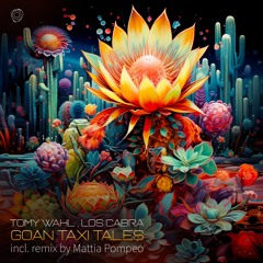 Tomy Wahl & Los Cabra - Goan Taxi Tales (Mattia Pompeo Remix) - Asymmetric