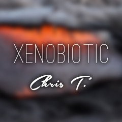 Xenobiotic (Original Mix)