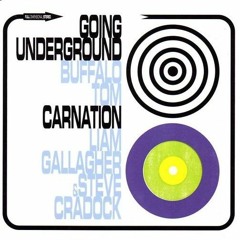 Liam Gallagher  Steve Cradock Carnation (The Jam Cover)